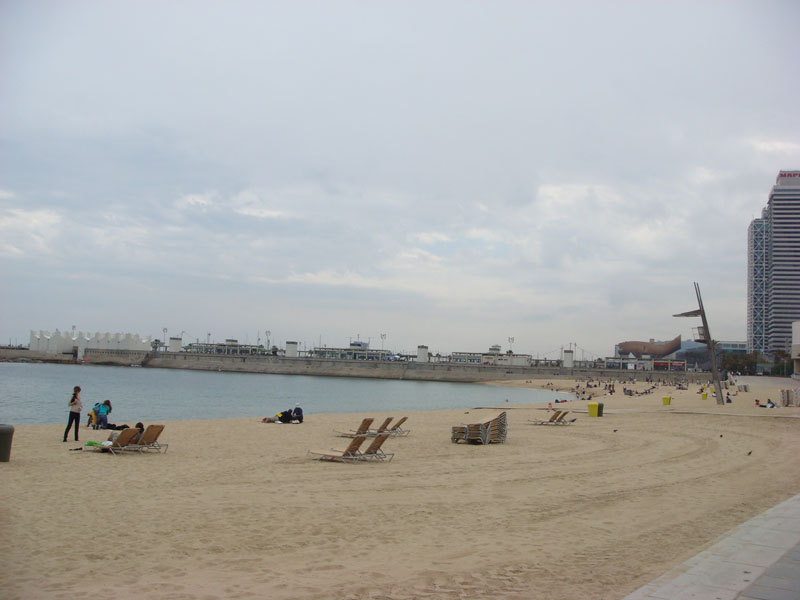 DSC01186