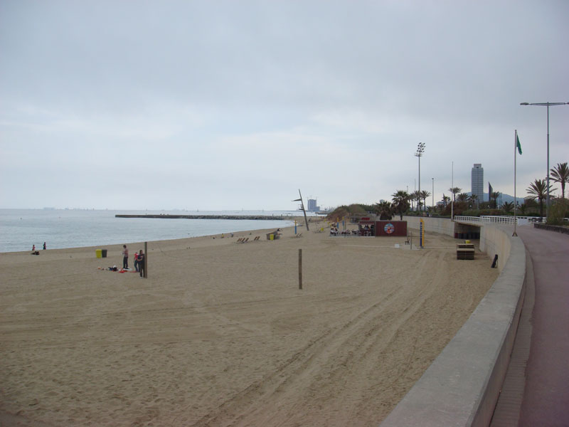 DSC01193