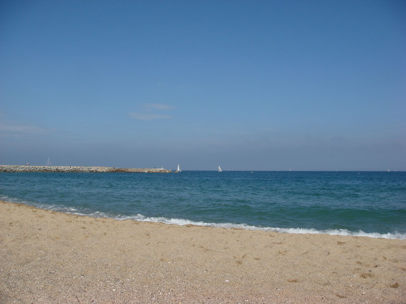 DSC01206