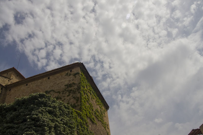 ZIMG_2819