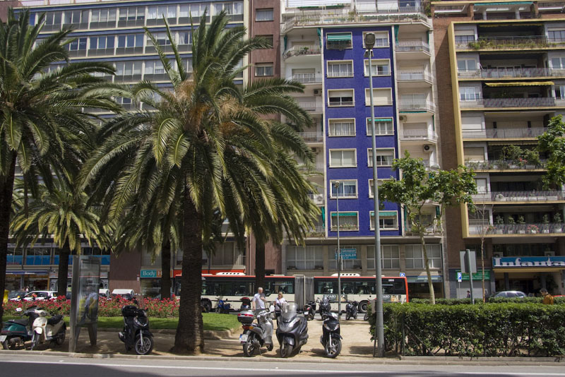 ZIMG_2833