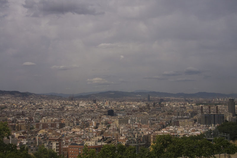 ZIMG_2882