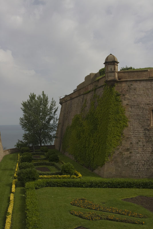 ZIMG_2923