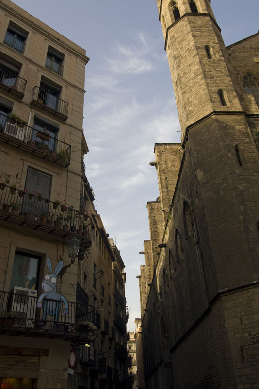 ZIMG_3010