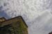 ZIMG_2819