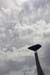 ZIMG_2879