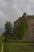 ZIMG_2923