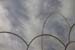 ZIMG_2952