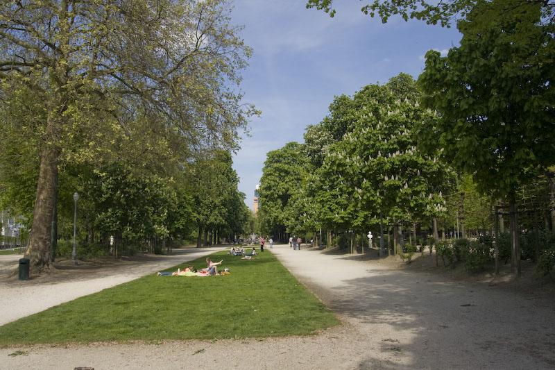 ZIMG_2341