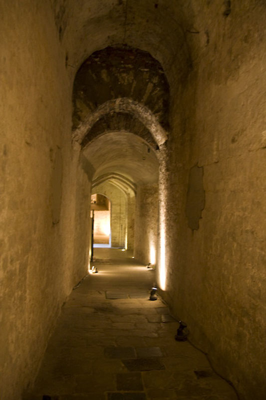 ZIMG_2435