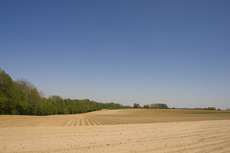 ZIMG_2595
