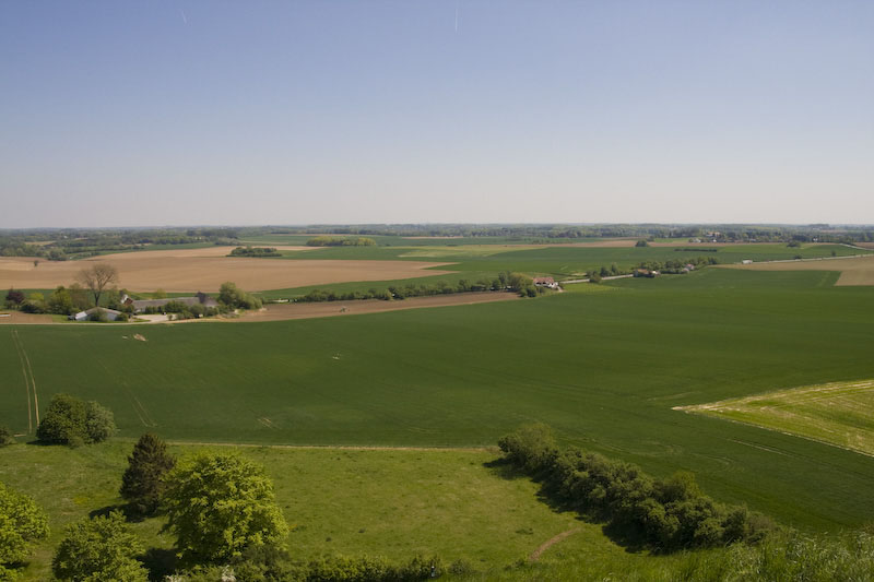 ZIMG_2607