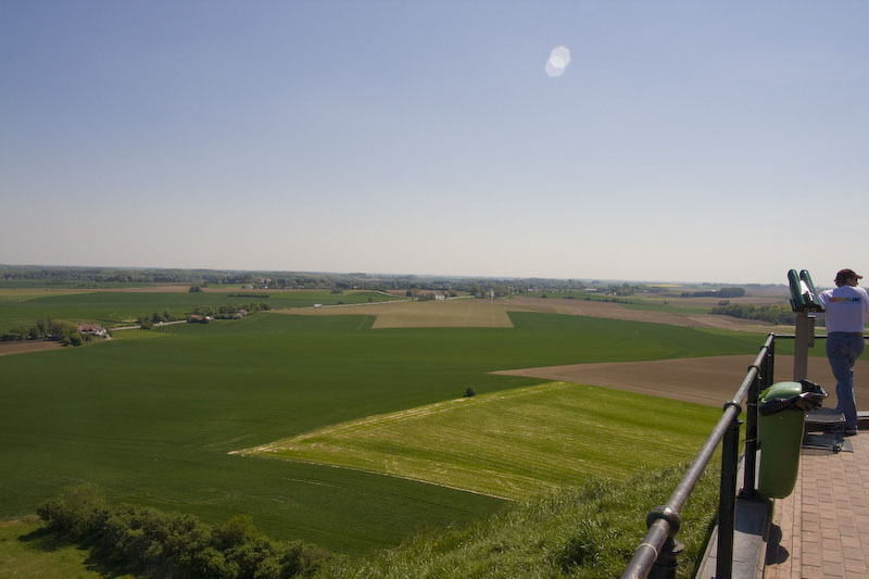ZIMG_2608