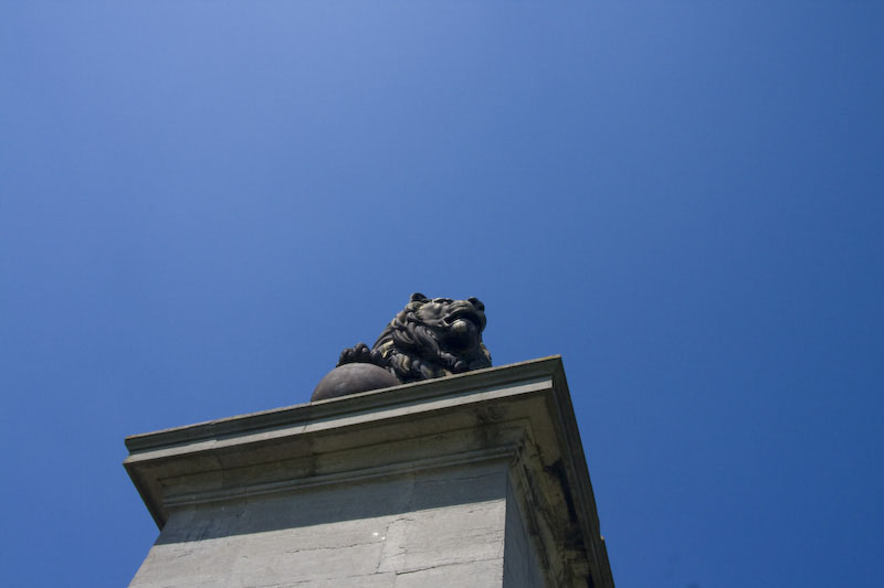 ZIMG_2622