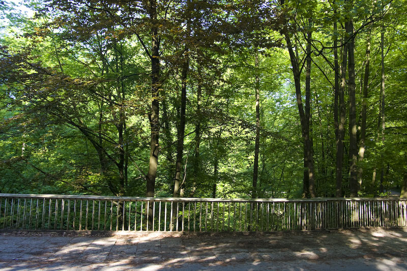 ZIMG_2703