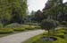 ZIMG_2449