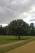 ZIMG_3396