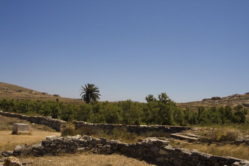 ZIMG_3132