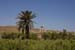 ZIMG_3140
