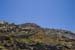 ZIMG_3172