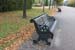 IMG_0058