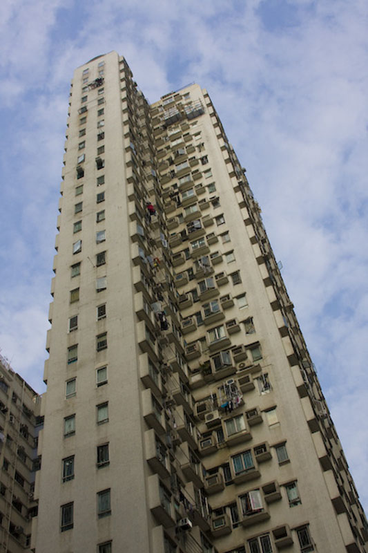 ZIMG_1251