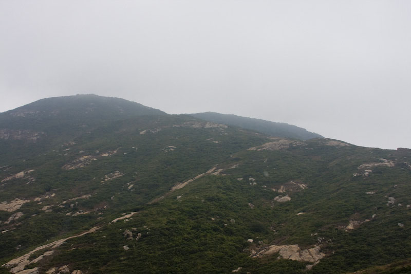 ZIMG_1399