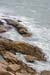 ZIMG_1420