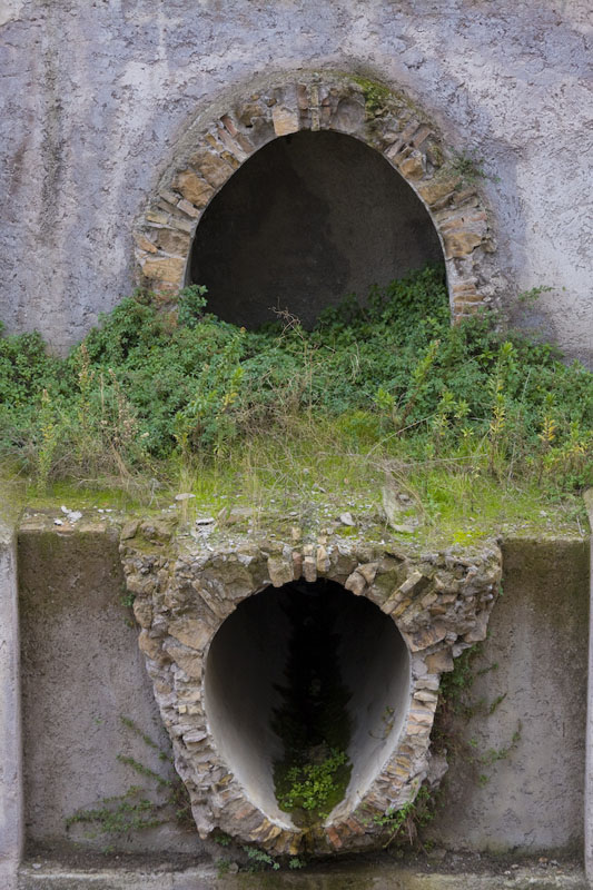 AIMG_0985