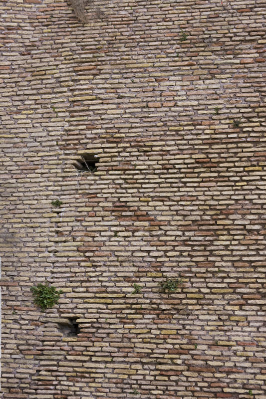 AIMG_0995