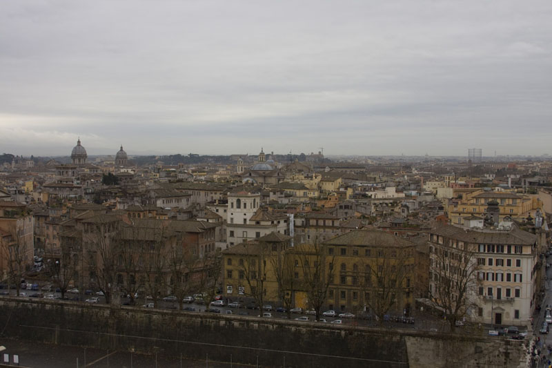 ZIMG_1136