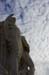 AIMG_0891