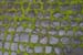 ZIMG_1152