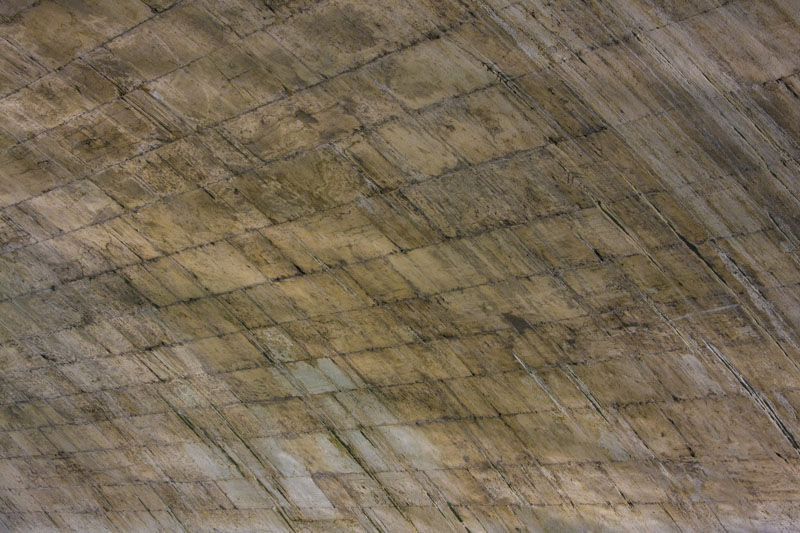 IMG_0730