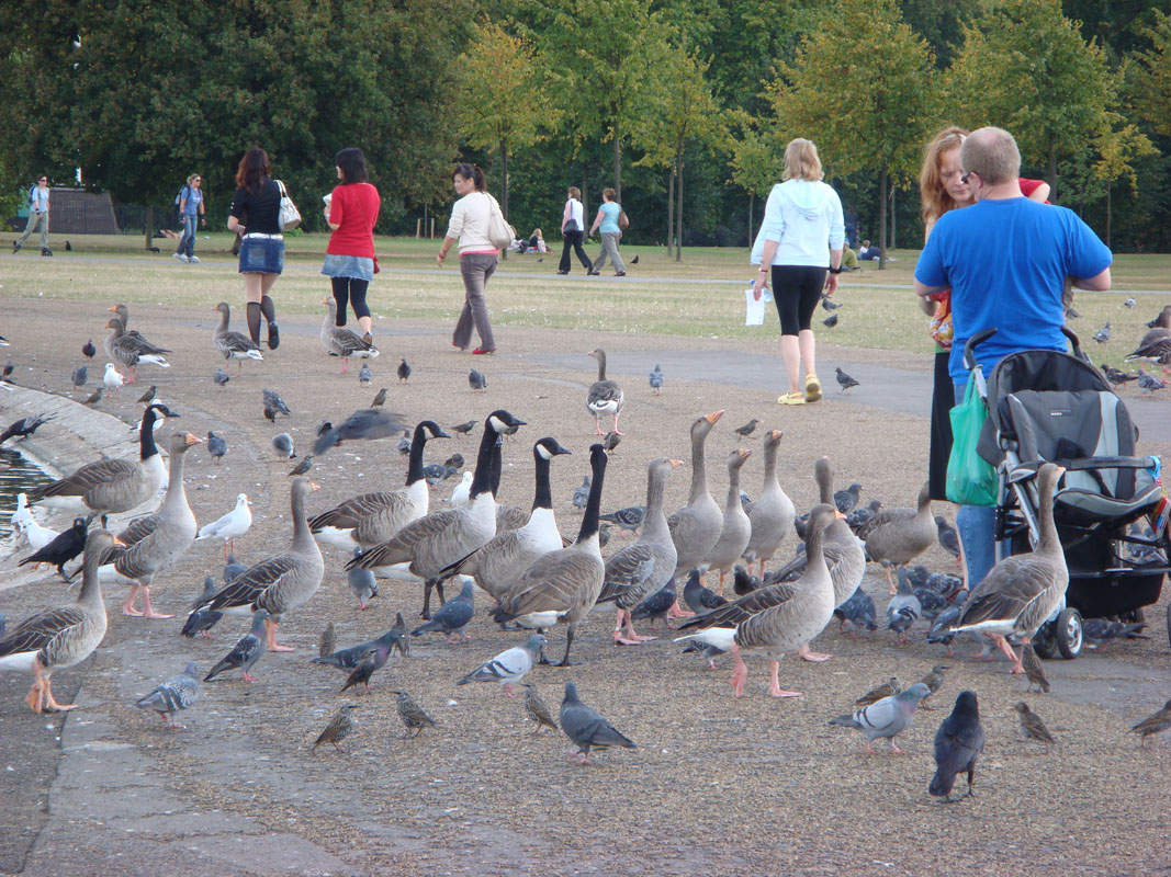 DSC00060