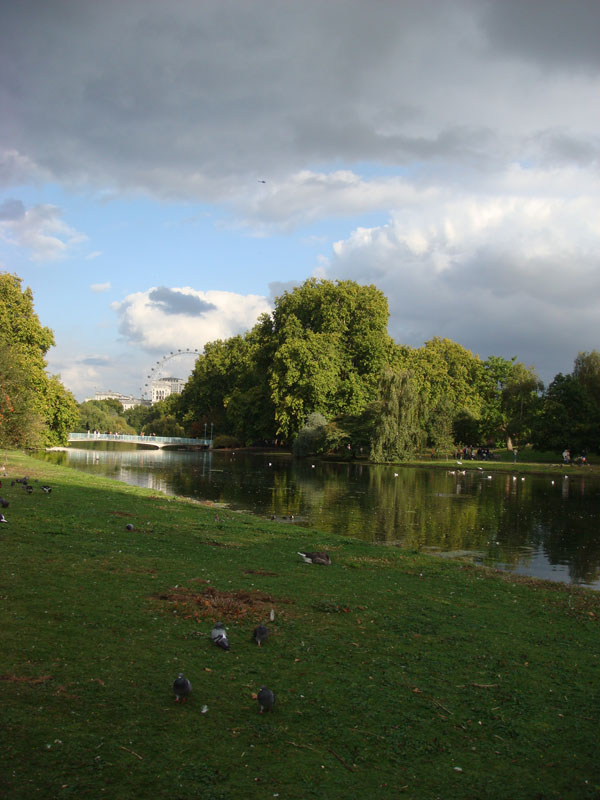 DSC00115