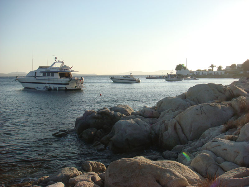 DSC01353