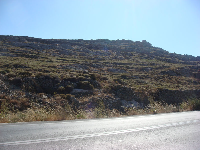 DSC01439