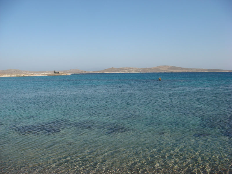 DSC01504