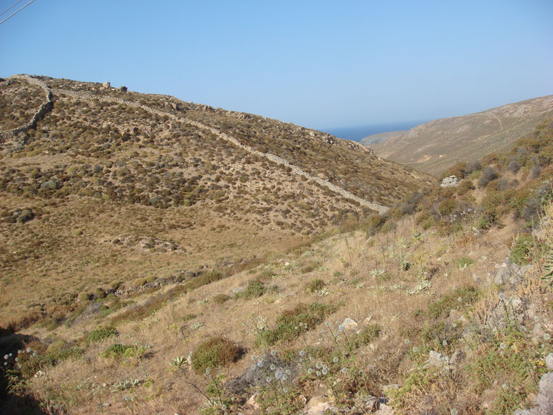 DSC01610