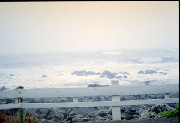 NZ-01-0007