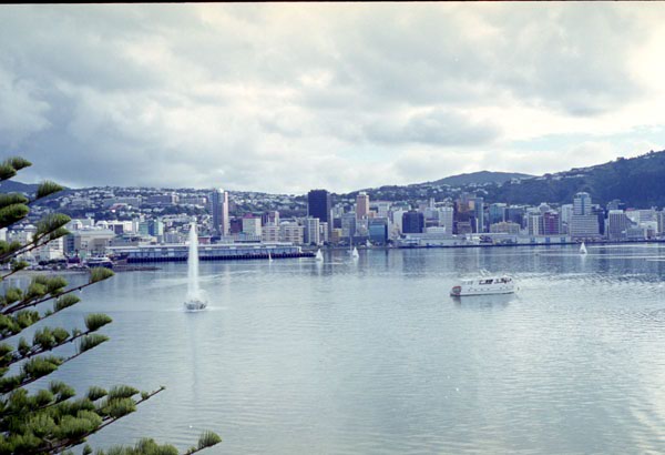 NZ-01-0008