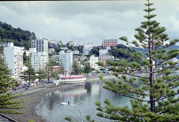 NZ-01-0009
