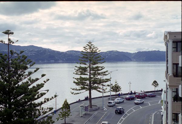 NZ-01-0010