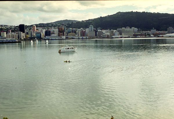 NZ-01-0013