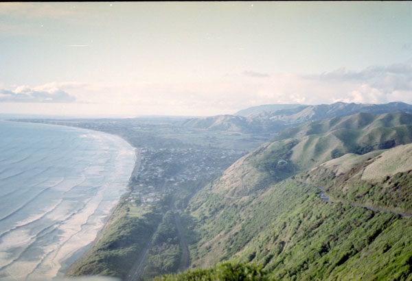 NZ-01-0018