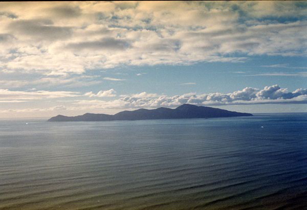 NZ-01-0019