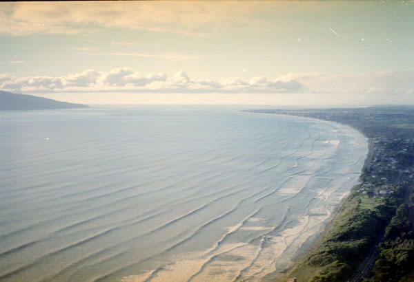 NZ-01-0021