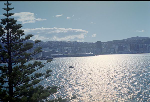 NZ-05-0017