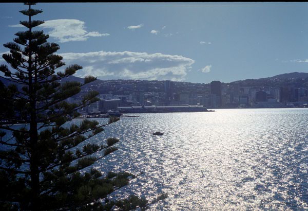 NZ-05-0018